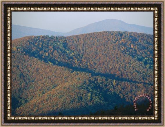 Raymond Gehman Fall Colors in Forests Along Skyline Drive Massanutten Mountain in Back Framed Painting