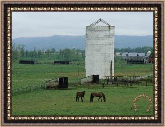 Raymond Gehman Farm Scene with Horses Grazing in Green Fields Near a Silo Framed Print