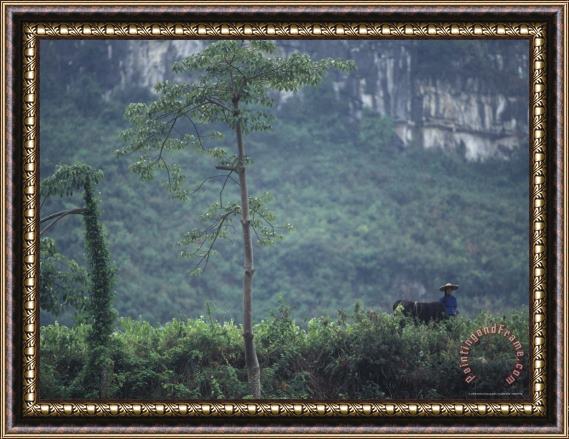 Raymond Gehman Farmer Water Buffalo Limestone Karst Mountains Behind Guangxi Framed Print