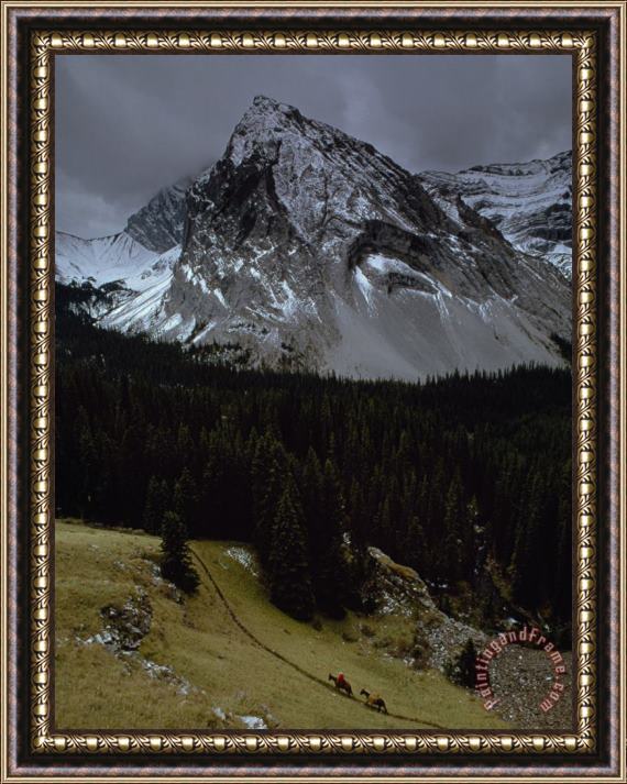 Raymond Gehman Leading a Pack Mule Along Stony Creek Beneath Mount Oliver Banff National Park Canada Framed Painting