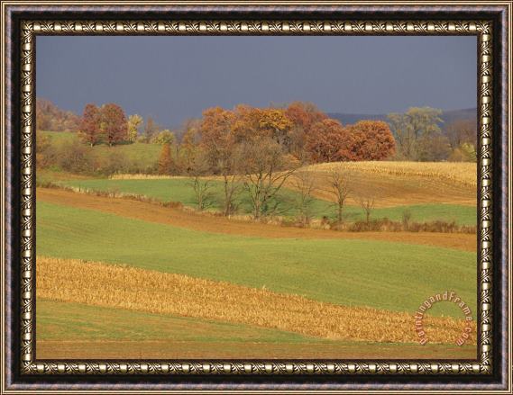 Raymond Gehman Pastoral View of Rolling Fields And Autumn Foliage Framed Painting