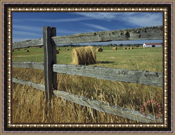 Raymond Gehman Rolls of Hay Fill a Farmers Field Framed Painting