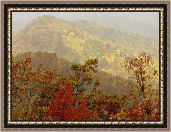 Raymond Gehman Scenic Mountain View with Forests in Autumn Colors Framed Painting