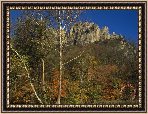 Raymond Gehman Seneca Rocks with Trees in Autumn Hues Framed Painting