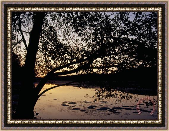 Raymond Gehman Sunset at Hematite Lake Framed Print