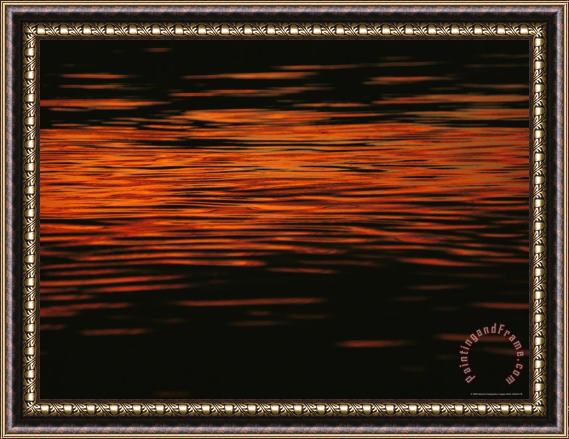 Raymond Gehman Sunset Is Reflected in The Mackenzie River Framed Print