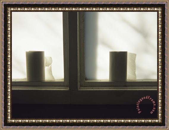 Raymond Gehman Toilet Paper Rolls Line The Sill of a Window Framed Painting