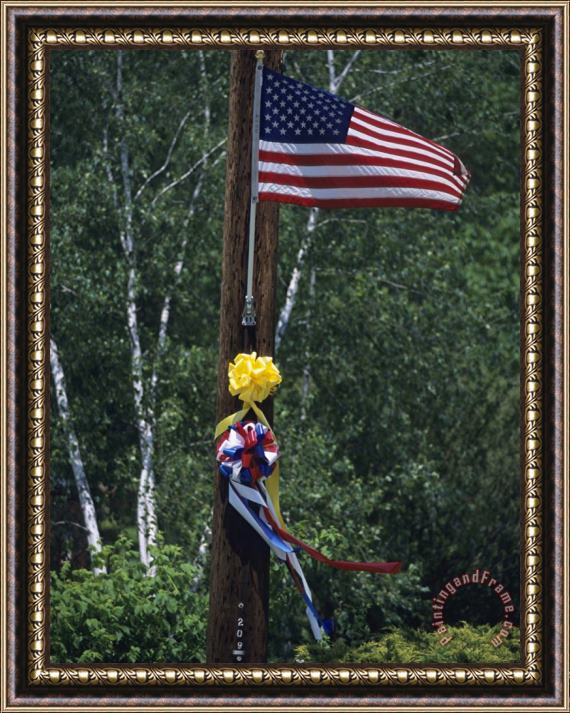 Raymond Gehman United States Flag And Ribbons Flying From a Telephone Pole Framed Print