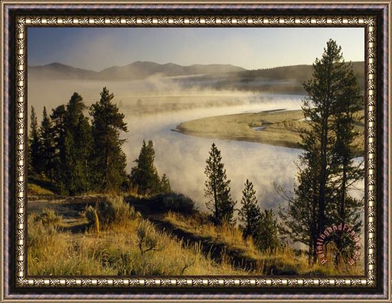 Raymond Gehman Veiled in Morning Mist The Yellowstone River Winds Through Hayden Valley Framed Painting