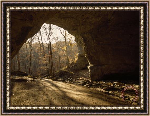 Raymond Gehman View Looking Out From The Mouth of a Cave Looking Out Into a Forest Framed Painting