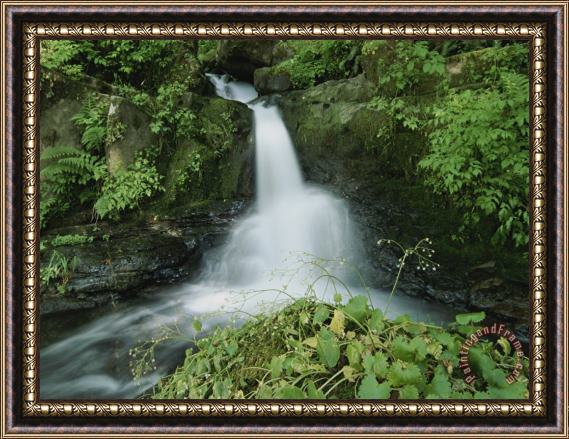 Raymond Gehman View of a Small Waterfall Amid Lush Greenery Framed Print