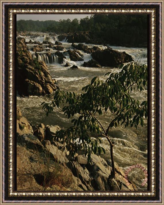 Raymond Gehman View of Waterfalls at Great Falls State Park Framed Painting