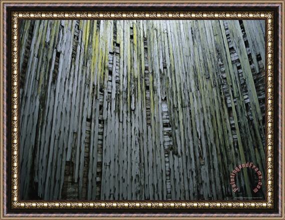 Raymond Gehman Weathered Wood Ruins on The Dungeoness Estate Framed Print