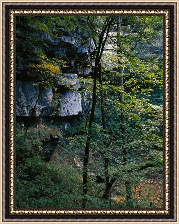 Raymond Gehman Wooded Scenery And Rock Outcrops Viewed From Inside a Sinkhole Framed Painting