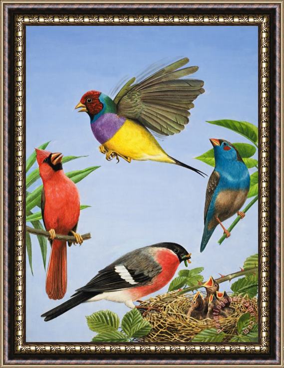 RB Davis Tropical Birds Framed Painting