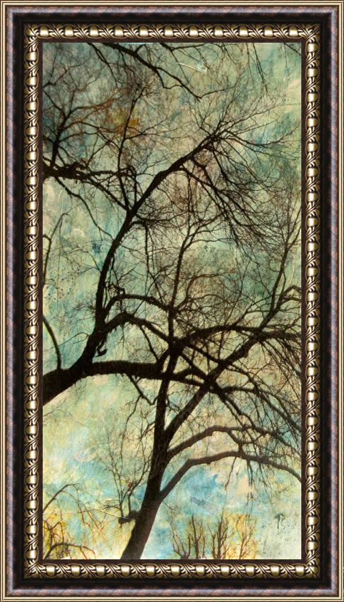 Sara Abbott Abstract Trees VI Framed Painting