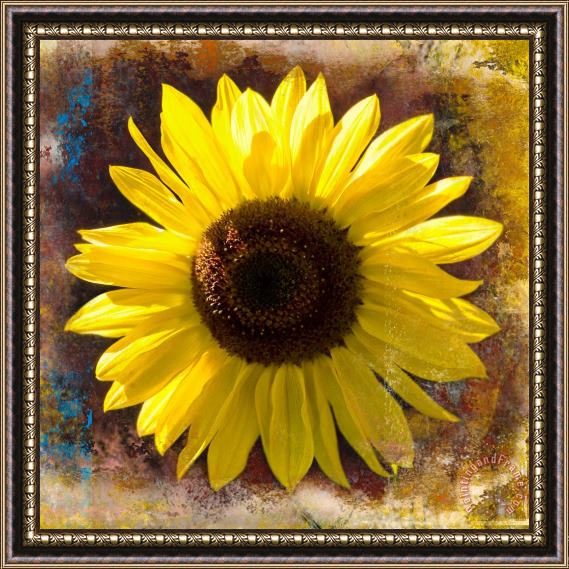 Sia Aryai Sunflower Yellow Framed Painting