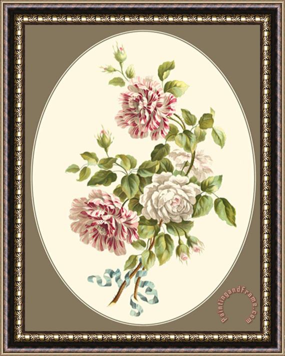 Sydenham Teast Edwards Antique Bouquet V Framed Print