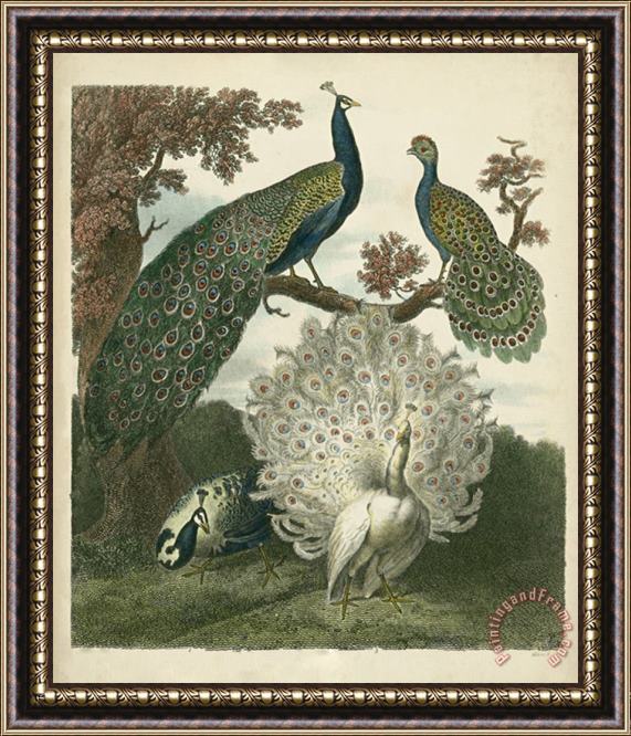 Sydenham Teast Edwards Peacock Gathering Framed Painting