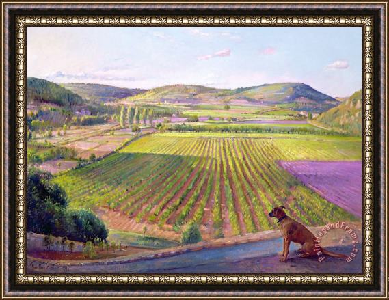Timothy Easton Watching From The Walls Old Provence Framed Print