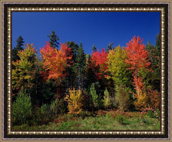 View in the Appalachian Mountains View in the Appalachian Mountains Framed Painting