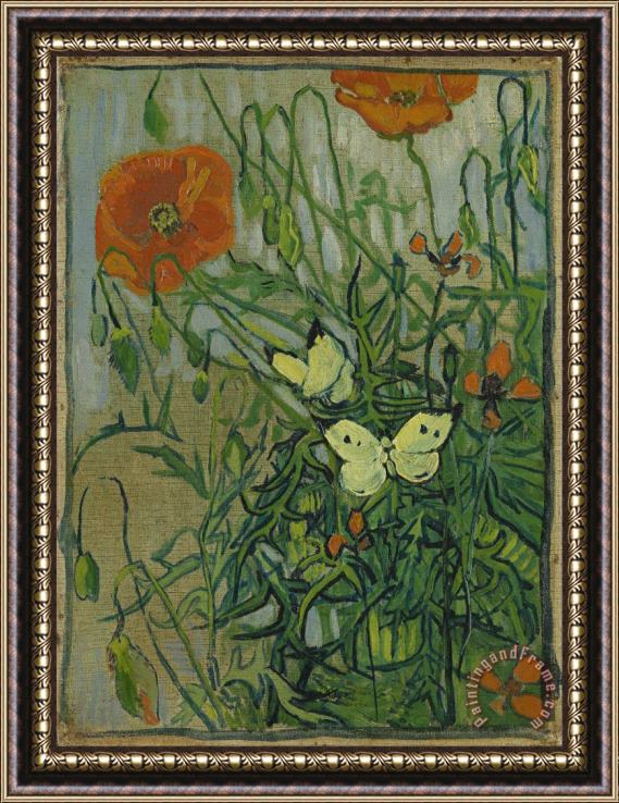 Vincent van Gogh Butterflies And Poppies Framed Painting