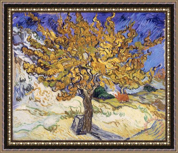 Vincent Van Gogh Mulberry Tree Framed Print