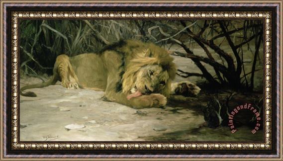 Wilhelm Kuhnert Lion Reclining in a Landscape Framed Painting