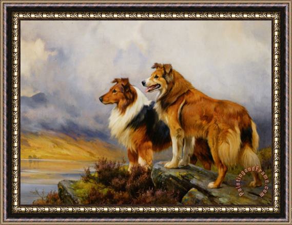 Wright Barker Two Collies Above a Lake Framed Print