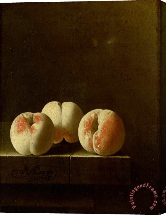 Adriaen Coorte Three Peaches on a Stone Plinth Stretched Canvas Print / Canvas Art