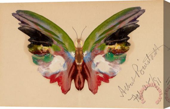 Albert Bierstadt Butterfly, 1891 Stretched Canvas Print / Canvas Art