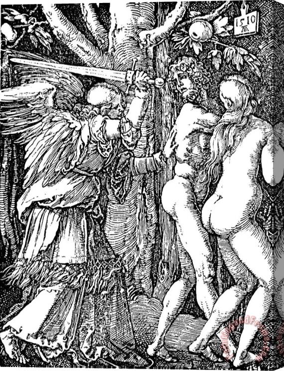 Albrecht Durer Adam And Eve Etching By Albrecht Durer Stretched Canvas Print / Canvas Art