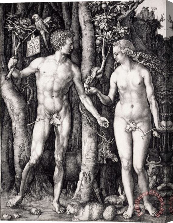 Albrecht Durer The Fall of Man (adam And Eve) Stretched Canvas Painting / Canvas Art