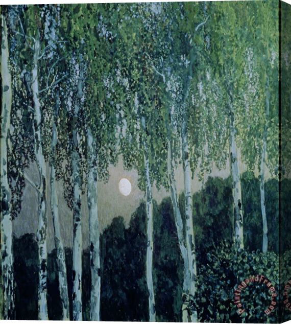 Aleksandr Jakovlevic Golovin Birch Trees Stretched Canvas Print / Canvas Art