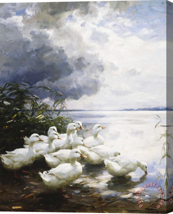Alexander Max Koester Ducks at The Lake's Edge Stretched Canvas Print / Canvas Art