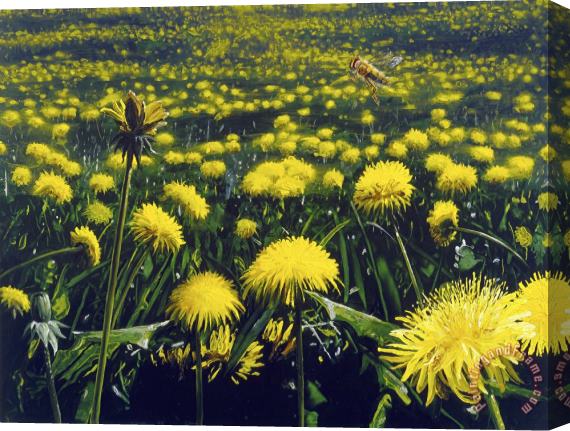 Alexis Rockman Lawn Stretched Canvas Print / Canvas Art