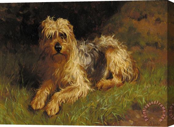 Alfred Duke Soft Coated Wheaten Terrier Stretched Canvas Print / Canvas Art