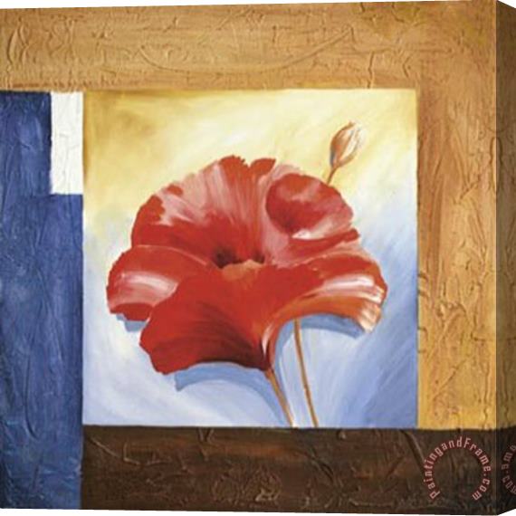 alfred gockel Passionate Poppies I Stretched Canvas Painting / Canvas Art