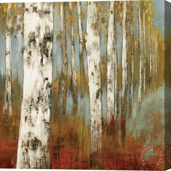 Allison Pearce Along The Path II Stretched Canvas Print / Canvas Art