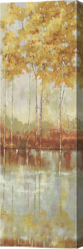 Allison Pearce Reflections I Stretched Canvas Print / Canvas Art