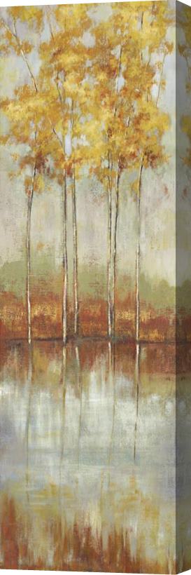 Allison Pearce Reflections II Stretched Canvas Print / Canvas Art