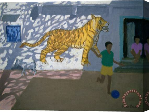 Andrew Macara Tiger Stretched Canvas Print / Canvas Art
