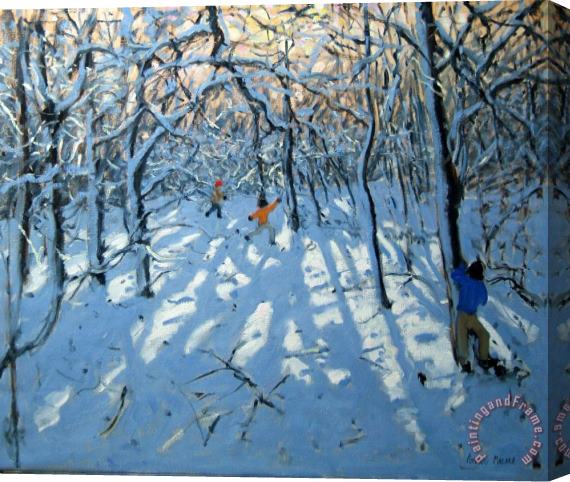 Andrew Macara Winter woodland near Newhaven Derbyshire Stretched Canvas Painting / Canvas Art