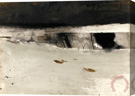 andrew wyeth Ice Pool 1969 Stretched Canvas Print / Canvas Art