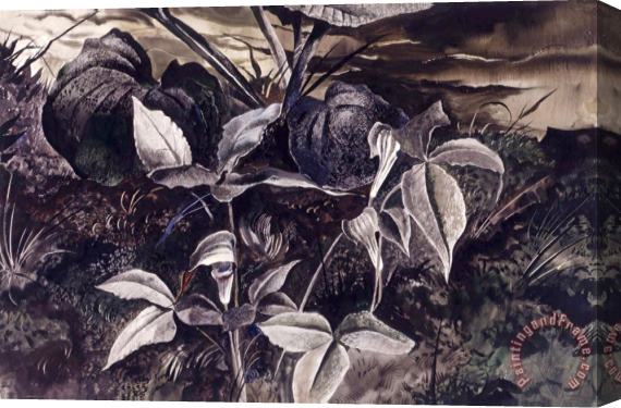 andrew wyeth Jack in The Pulpit Stretched Canvas Painting / Canvas Art