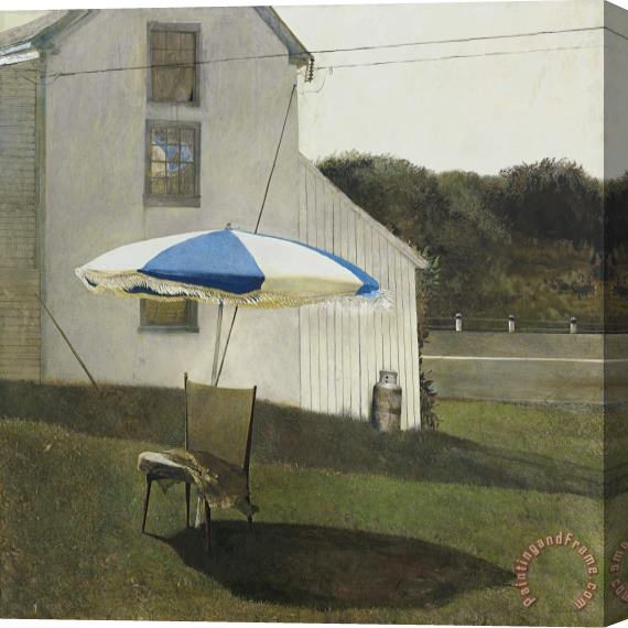 andrew wyeth Oliver's Cap, 1981 Stretched Canvas Print / Canvas Art