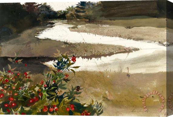 andrew wyeth Rose Hips (study for Back Water) 1982 Stretched Canvas Print / Canvas Art