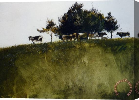 andrew wyeth Shadey Trees Stretched Canvas Painting / Canvas Art