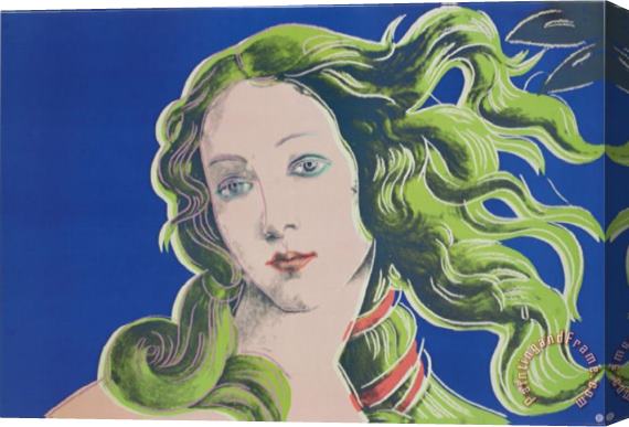 Andy Warhol Birth of Venus Stretched Canvas Painting / Canvas Art