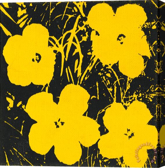 Andy Warhol Flowers 1964 Stretched Canvas Print / Canvas Art